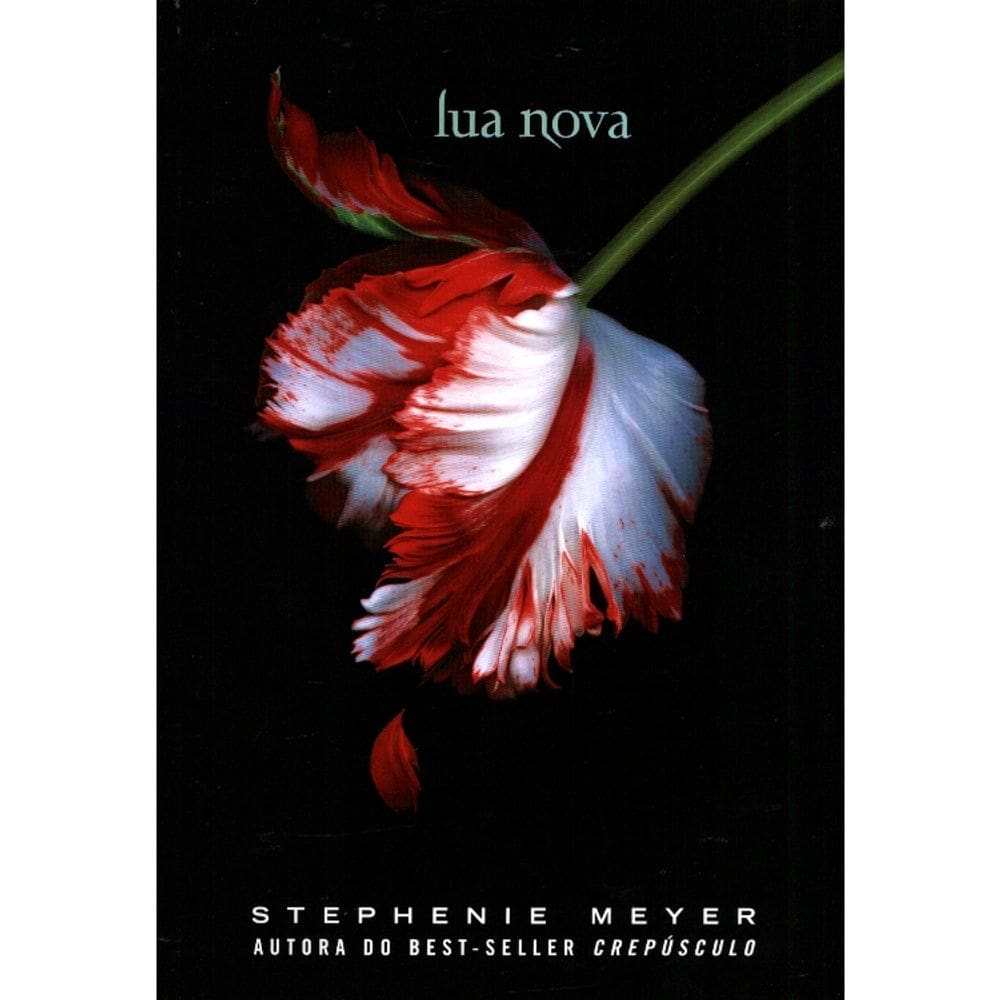 Lua Nova