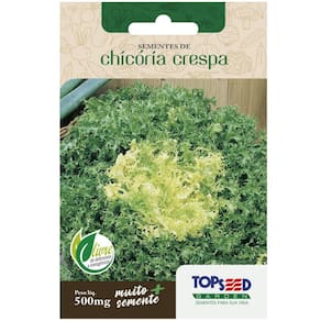 Sementes de Chicória Crespa TOPSEED