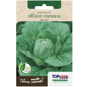 Sementes de Alface Romana Balão TOPSEED