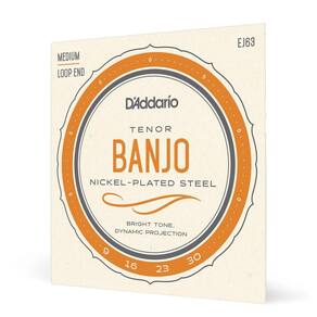 Encordoamento Banjo Tenor D Addario Nickel Plated Steel EJ63 [F035]