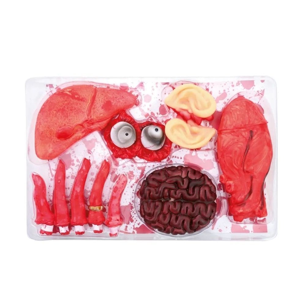 Decoração Halloween Órgãos Com Sangue - 12 Itens