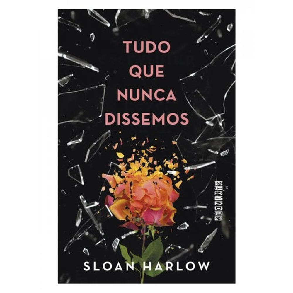 Tudo Que Nunca Dissemos