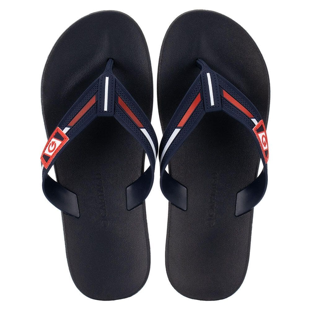 Chinelo Masculino Dublin Ii Cartago 12268