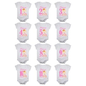 Kit body de bebê mesversario manga curta ursinha princesa 12 bodies 1 a 12 meses