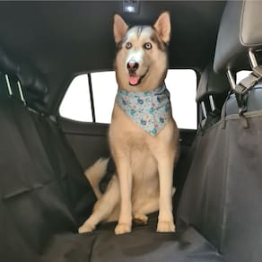 Capa Protetora Banco Carro Luxo Cao Gato Pet Impermeável