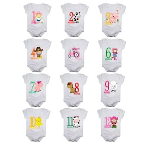 Kit body bebê mesversario manga curta estampa fazendinha 12 bodies 1 a 12 meses