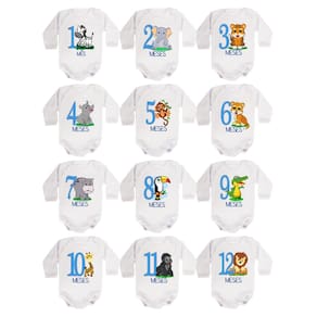 Body Bebê Mesversario Manga Longa Safari Menino Kit 12 Bodies 1 a 12 Meses