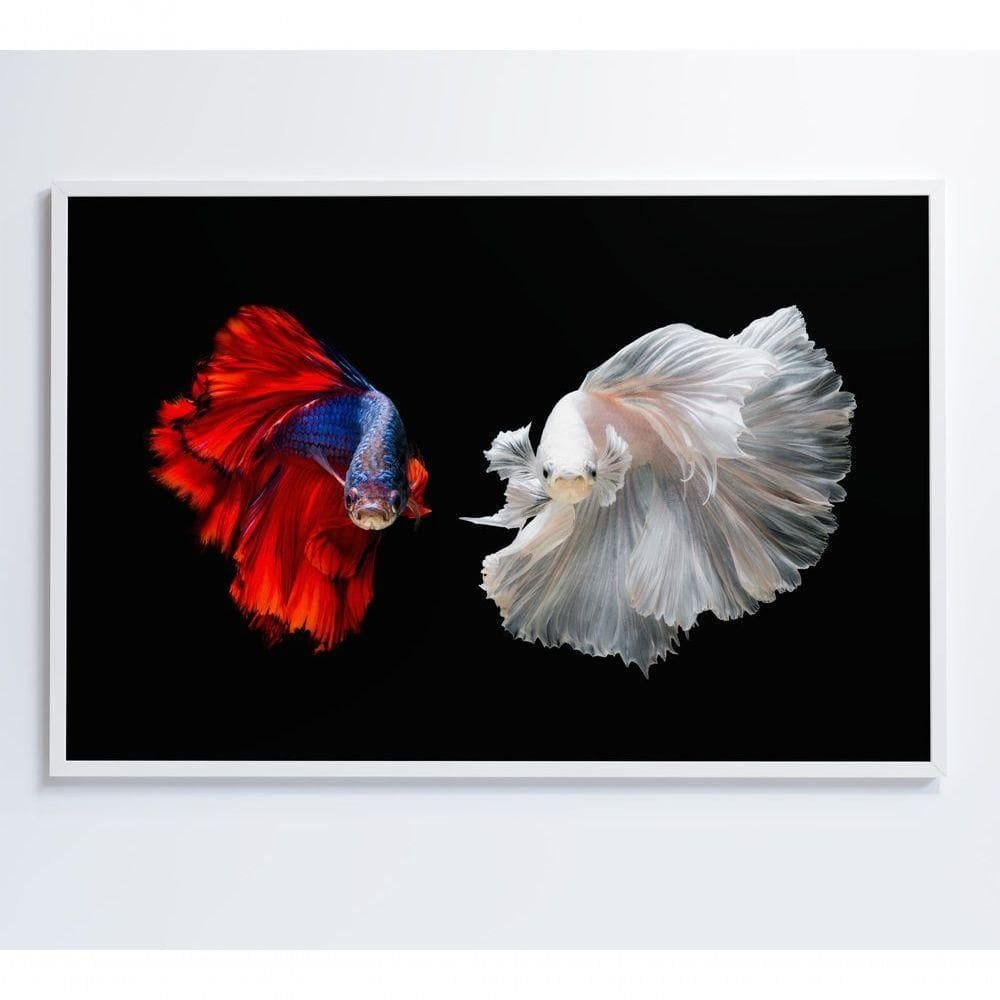 Quadro Peixes Beta 120x80 Cm Vidro Impresso