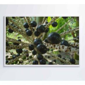 Quadro Açaí 90x60 Cm Adesivo Fotográfico