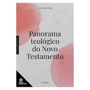 Panorama Teológico Do Novo Testamento
