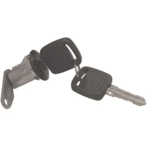 Cilindro Porta Dianteira Direita Ford F1000 F4000 De 93 A 98 [F103]