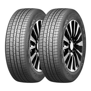 Kit 2 Pneus Double Star Aro 19 225/55R19 DSS02 99V