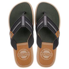 Chinelo Masculino Palermo Cartago 12397