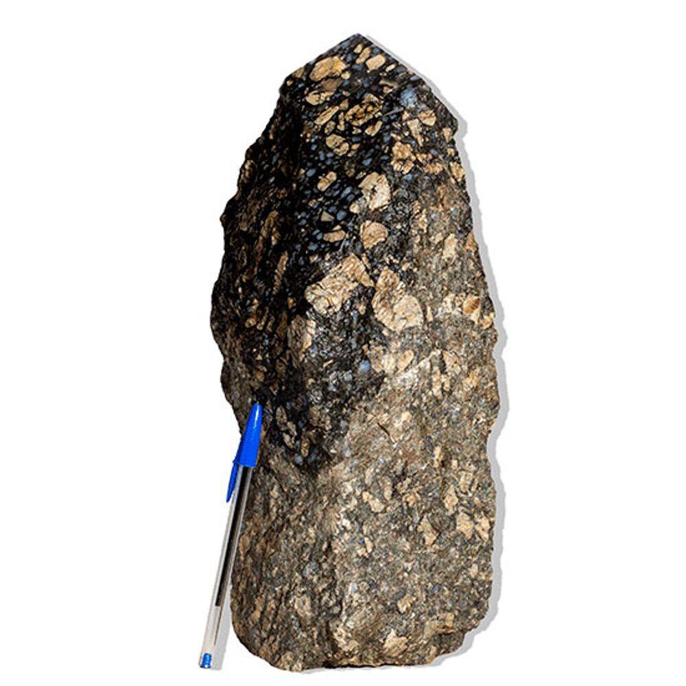 Riolita Pedra Pé e Bico Serrado Natural 6,32Kg 37cm Tipo B