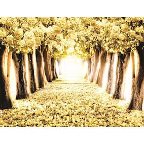 Fundo Fotográfico Em Tecido Cerejeras Amarela 2,60X1,50