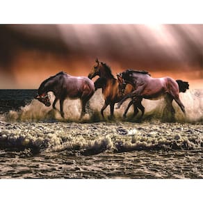 Fundo Fotográfico Em Tecido Cavalos Na Praia 2,60X1,50.