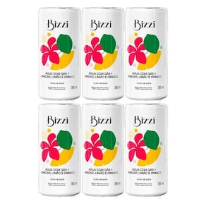 Kit 6X: Água Gaseificada Abacaxi, Limão E Hibisco Sem Açúcar