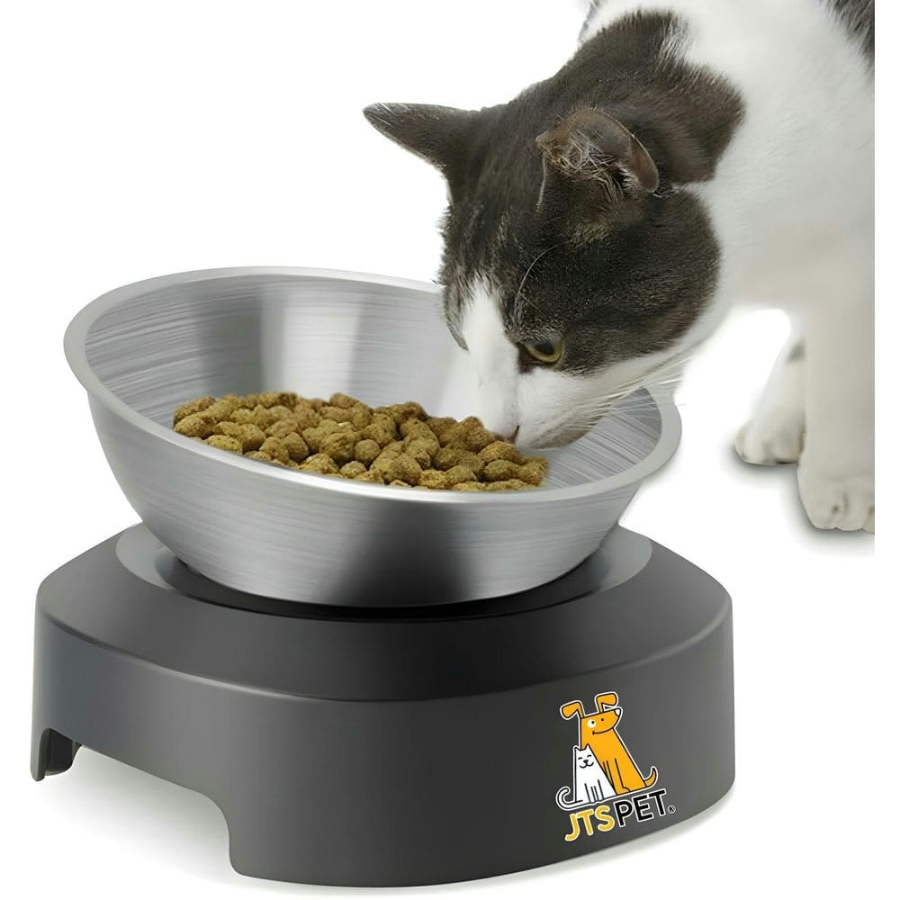 Comedouro E Bebedouro Tigela Inclinação Inox Gatos Cachorros