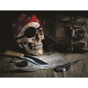 Fundo Fotográfico Em Tecido Pirata 2,20X1,50