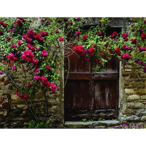 Fundo Fotográfico Em Tecido Muro De Rosa 2,80X1,50