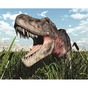 Fundo Fotográfico Em Tecido Dinossauro 2,80 X1,50.