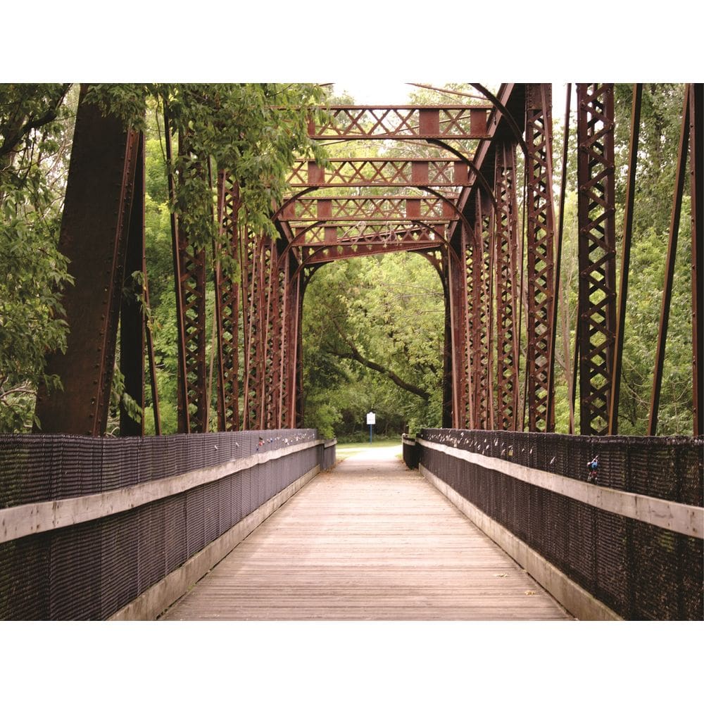 Fundo Fotográfico Em Tecido Ponte  2,80X1,50