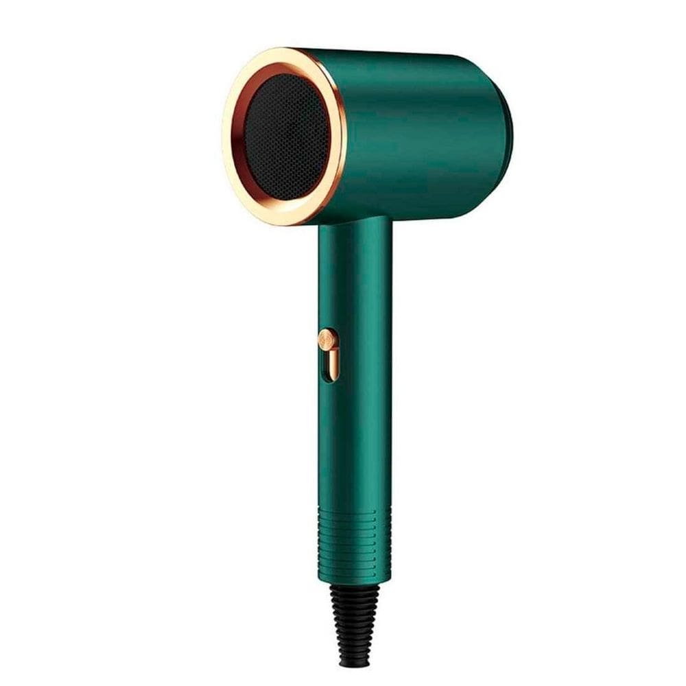 Secador Com Secagem Rápida 110V