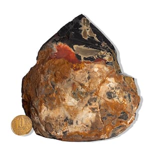 01 Ônix Preto Pé e Bico Serrado 1 a 2Kg 10 a 12cm Tipo B