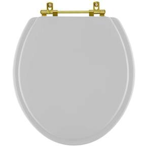 Assento Sanitário Convencional Oval Cinza Prata para vaso Celite com Ferragem Dourada