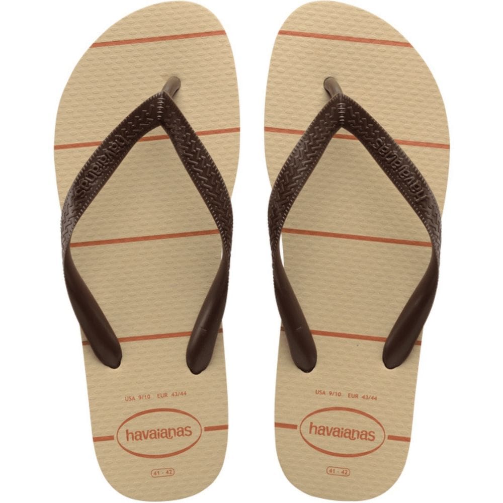 Chinelo Dedo Masculino Casual Dia a Dia Praia Passeio Havaianas Color Essential