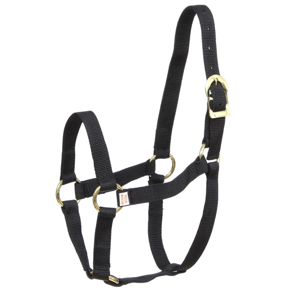 Cabresto de Nylon Preto e Dourado com Regulagem Kauana 36776
