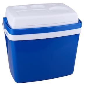 Caixa Térmica Cooler 12 Litros Praia Camping Botafogo Unic A