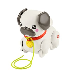 Pug Passeia Comigo Fisher-Price HTW94 - Mattel