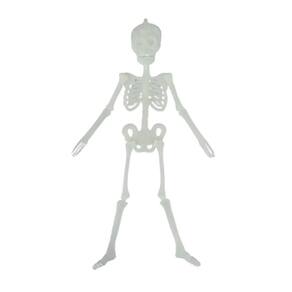 Esqueleto Fluorescente 32X7Cm Decorativo Halloween Ydh
