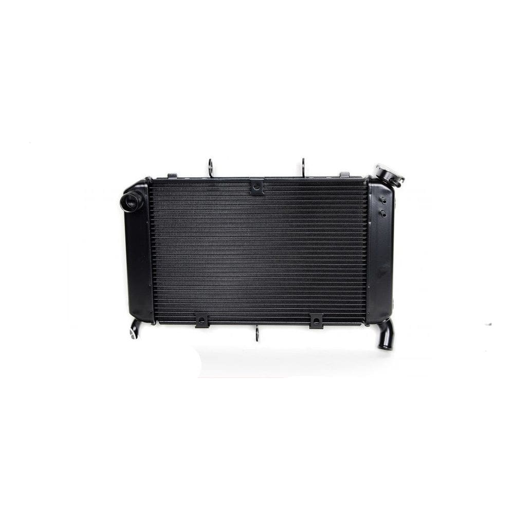 Radiador de agua FZ6 Fazer 600 Genuíno