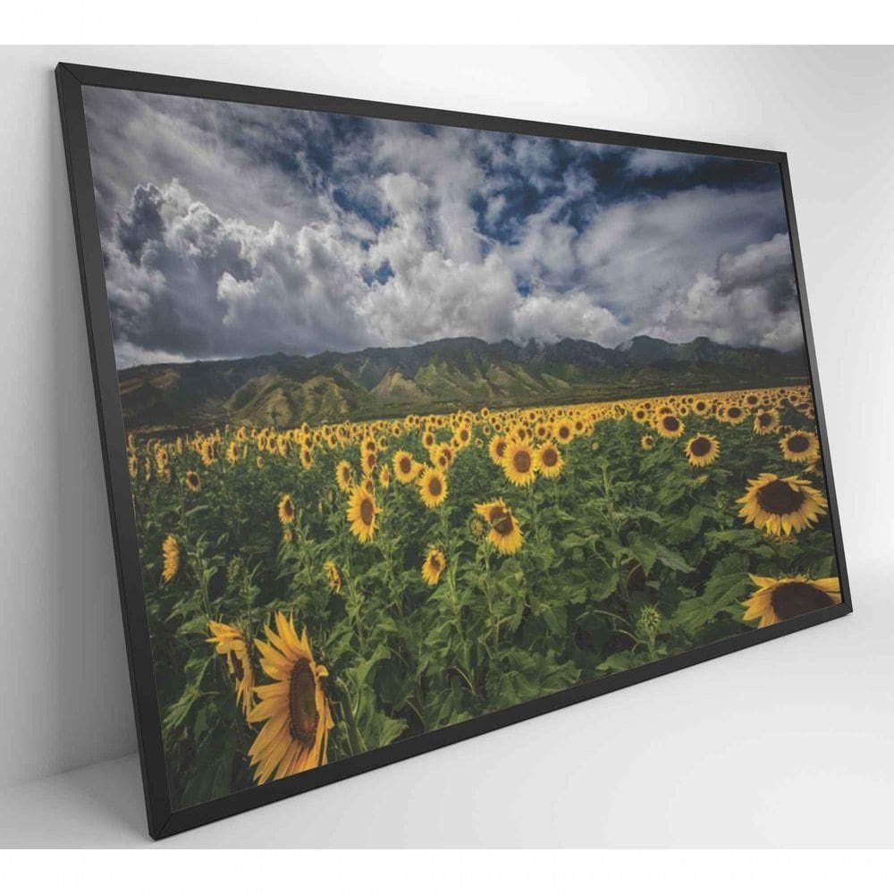 Quadro Campo De Girassóis Medidas 90x60 Cm Impressão Vidro Acrílico