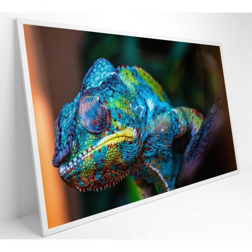 Quadro Camaleão Cores Vibrantes Medidas 90x60 Cm Tipo De Impressão Adesivo Fotográfico
