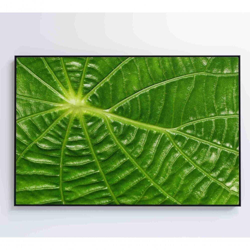 Quadro Folha Floresta Amazônica Medidas 120x80 Cm Impressão Vidro Acrílico