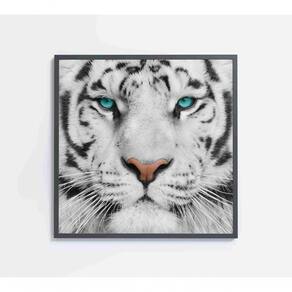 Quadro Tigre Branco Medidas 80x80 Cm Impressão Vidro Acrílico