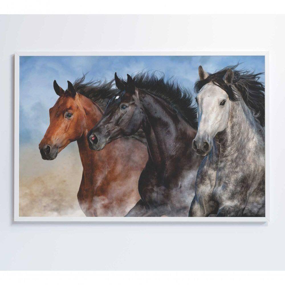 Quadro Cavalos Correndo Medidas 120x80 Cm Impressão Vidro Acrílico