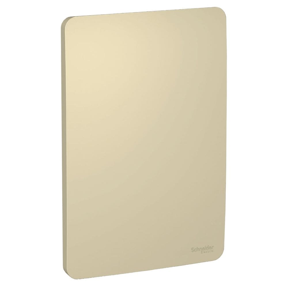 Placa 4x2 Cega Horizon Gold Orion Schneider