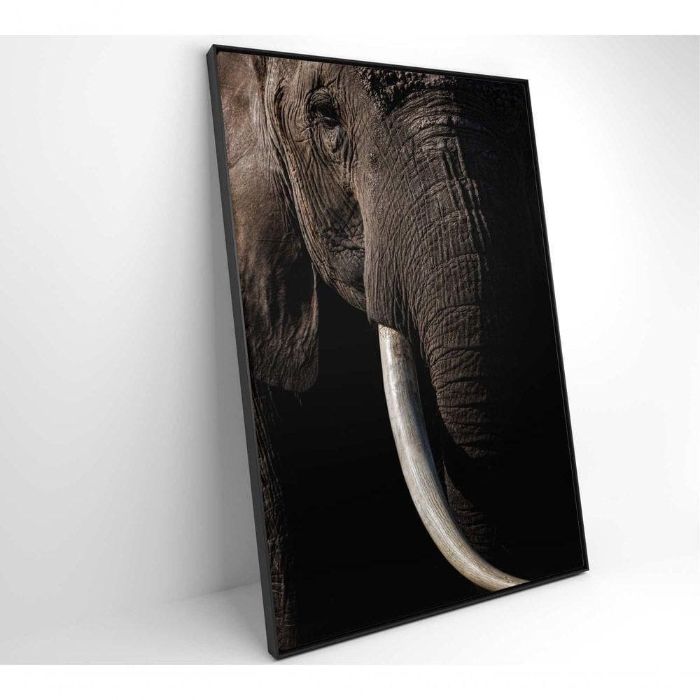 Quadro Natureza Elefante Africano Medidas 80x120 Cm Impressão Vidro Acrílico