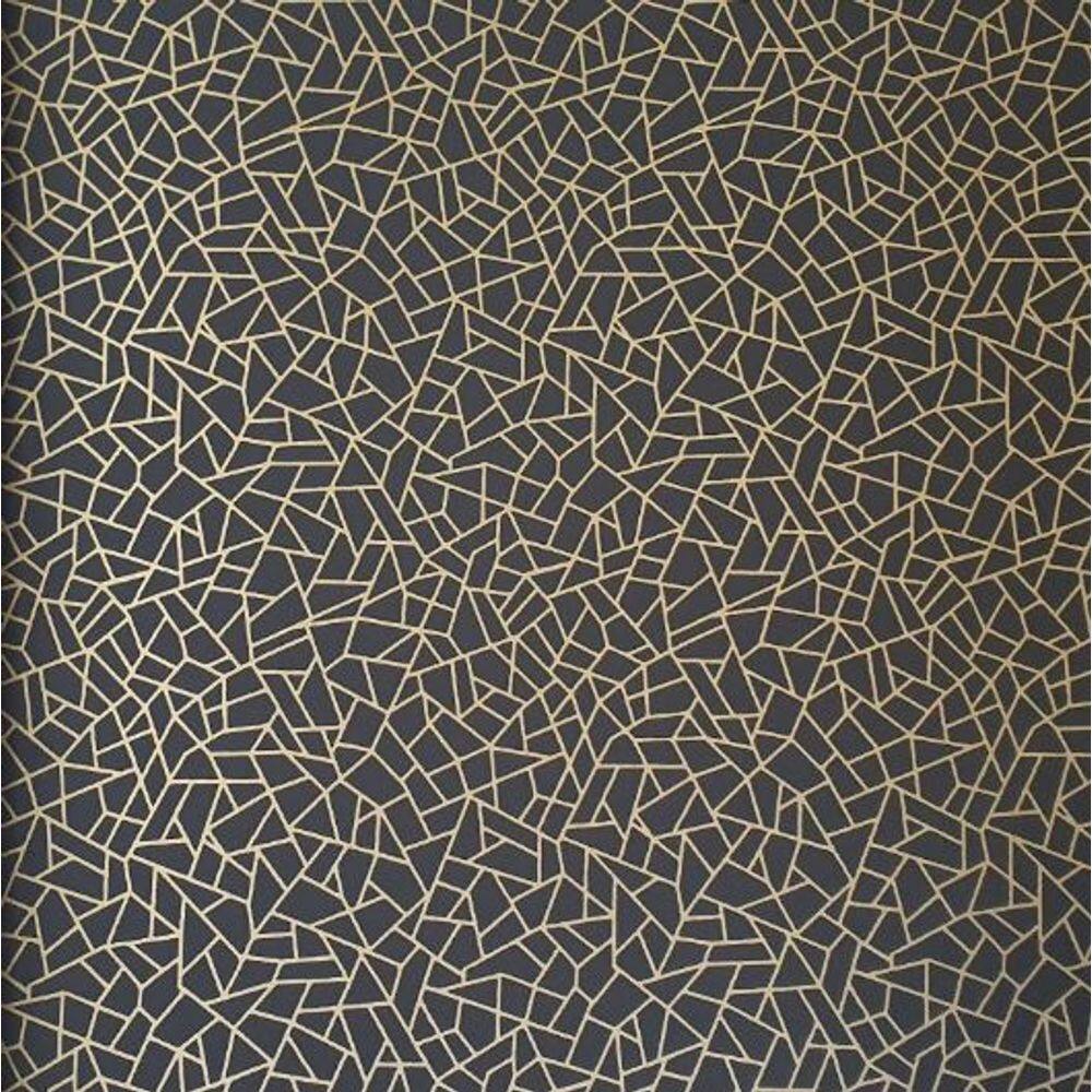 Papel de Parede Neo Geometric Geométrico Preto NG1961