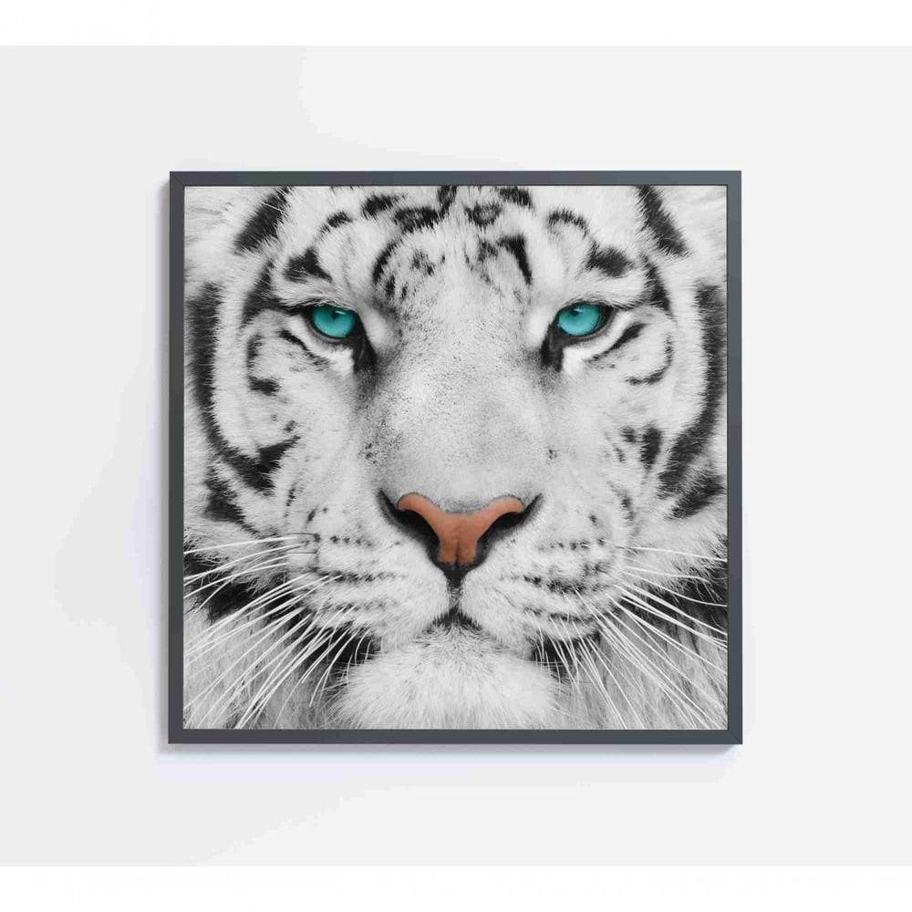 Quadro Tigre Branco Medidas 40x40 Cm Impressão Vidro Acrílico