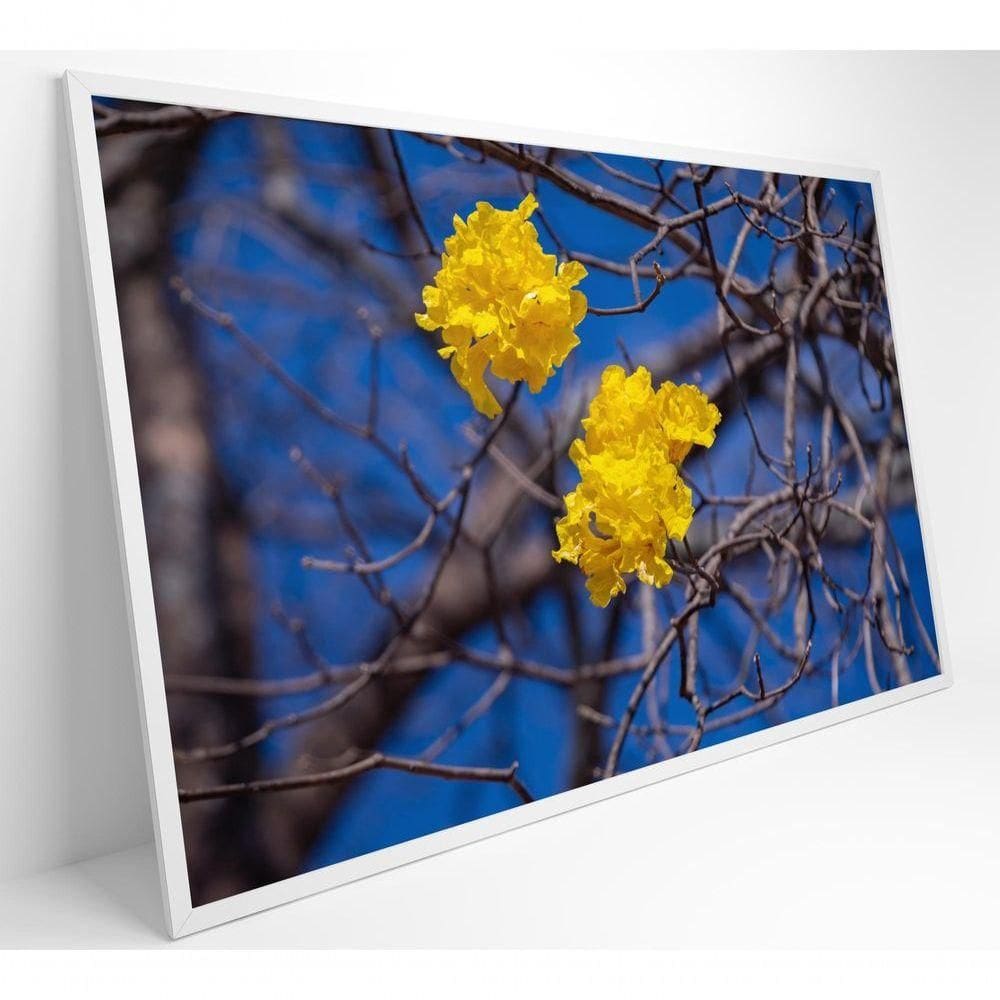 Quadro Flores De Ipê Amarelo Em árvore Do Cerrado Medidas 60x90 Cm Impressão Tecido Canvas