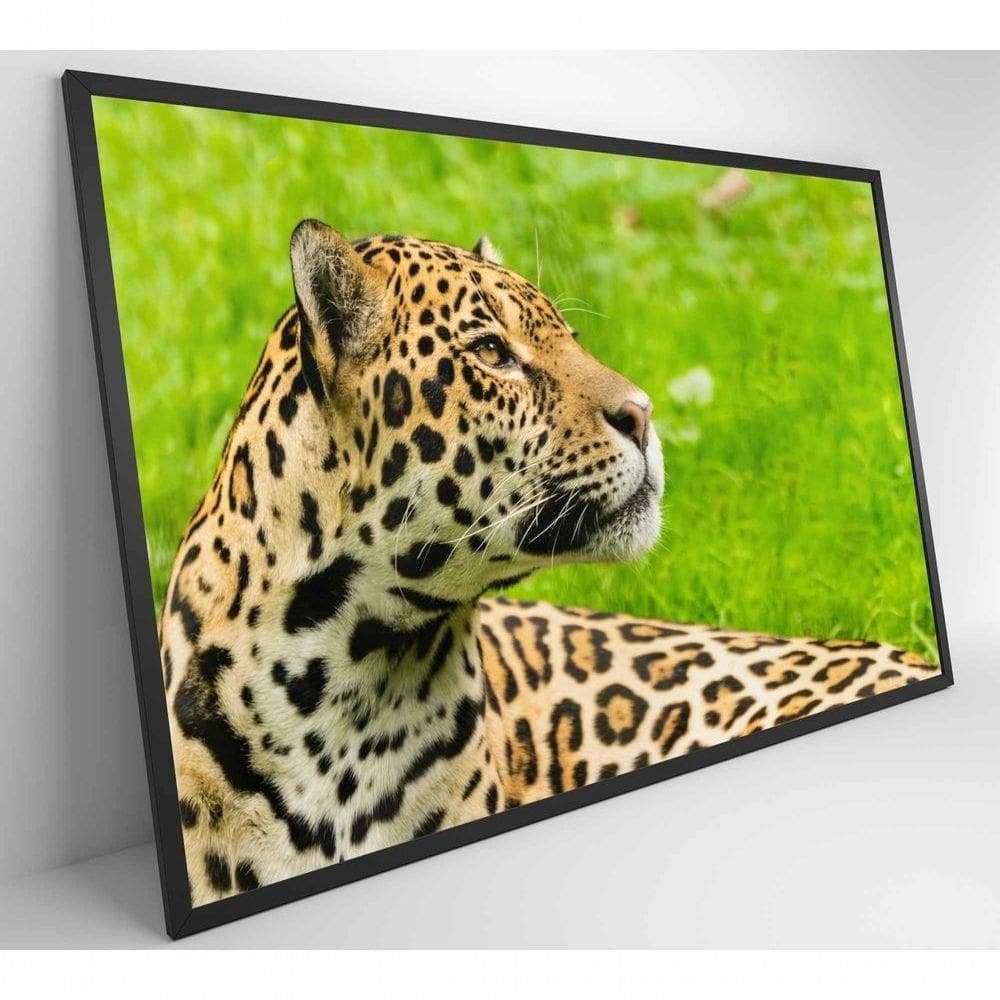 Quadro Onça Pintada No Pantanal Medidas 120x80 Cm Impressão Vidro Acrílico