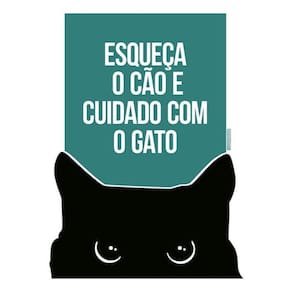 Kit 10 Placas Esqueça Cão Cuidado Com Gato 36X46
