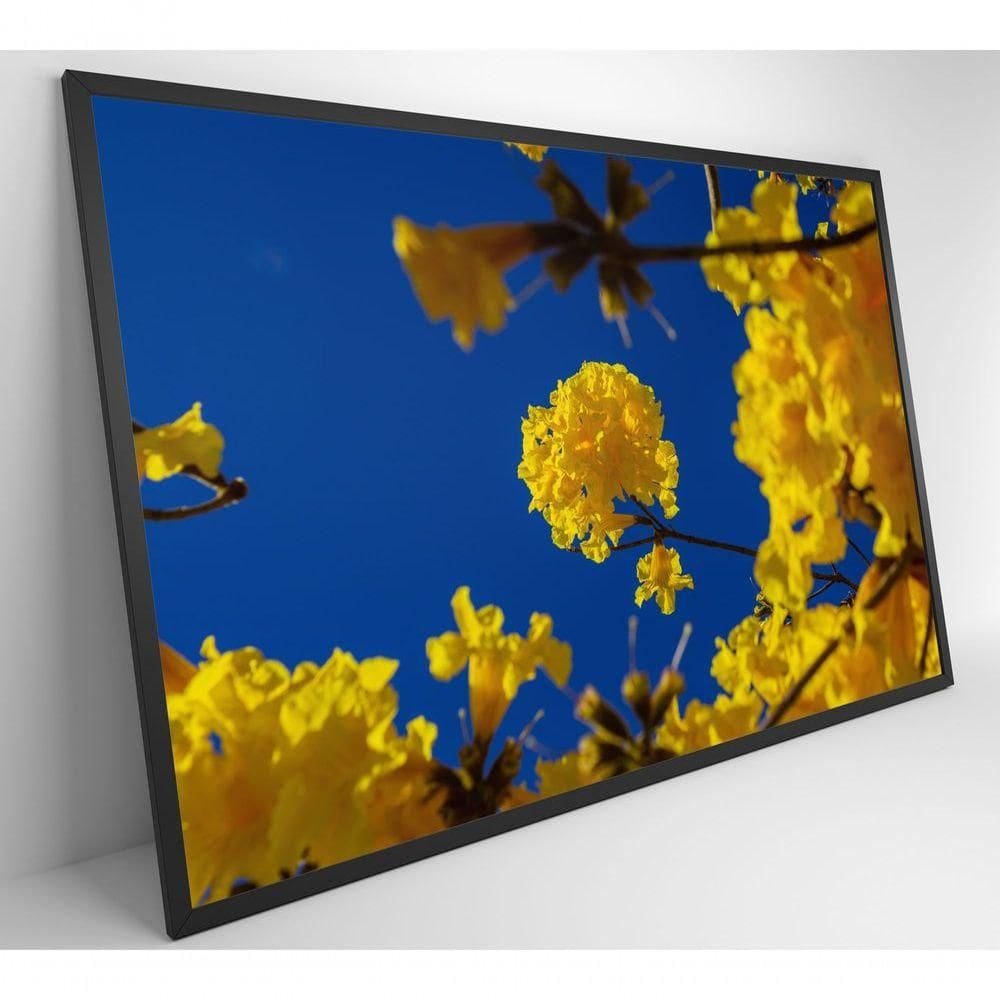 Quadro árvore Ipê Amarelo No Céu Azul Medidas 80x120 Cm Impressão Vidro Acrílico