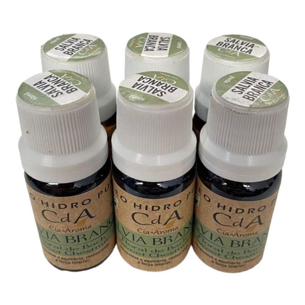 Box Kit 6 Óleos Hidrossolúveis 10Ml-Escolha O Seu Aroma