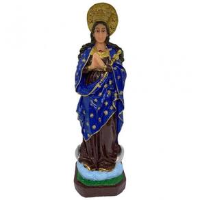 Imagem Santos Católicos Médio Resina - Escolha Cor Protetor